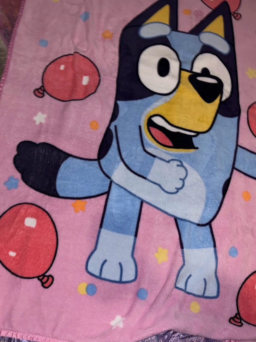 Kids Bluey Blanket